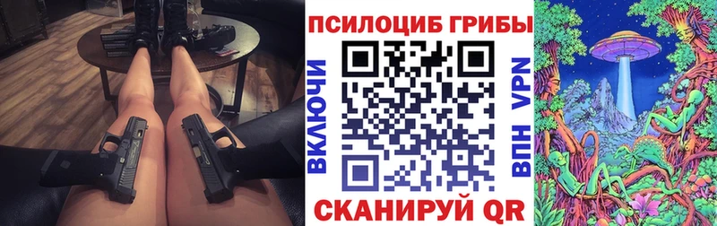 где продают   Губкин  Галлюциногенные грибы мицелий 